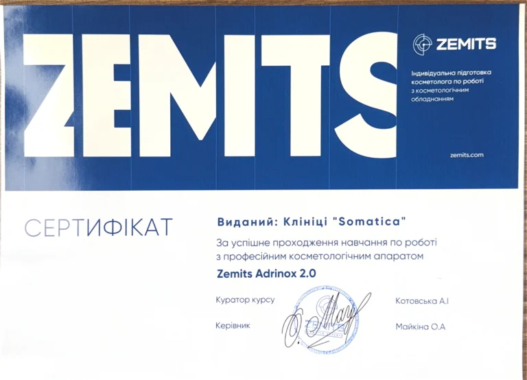 Команда Somatica пройшла навчання Zemits Adrinox 2.0
